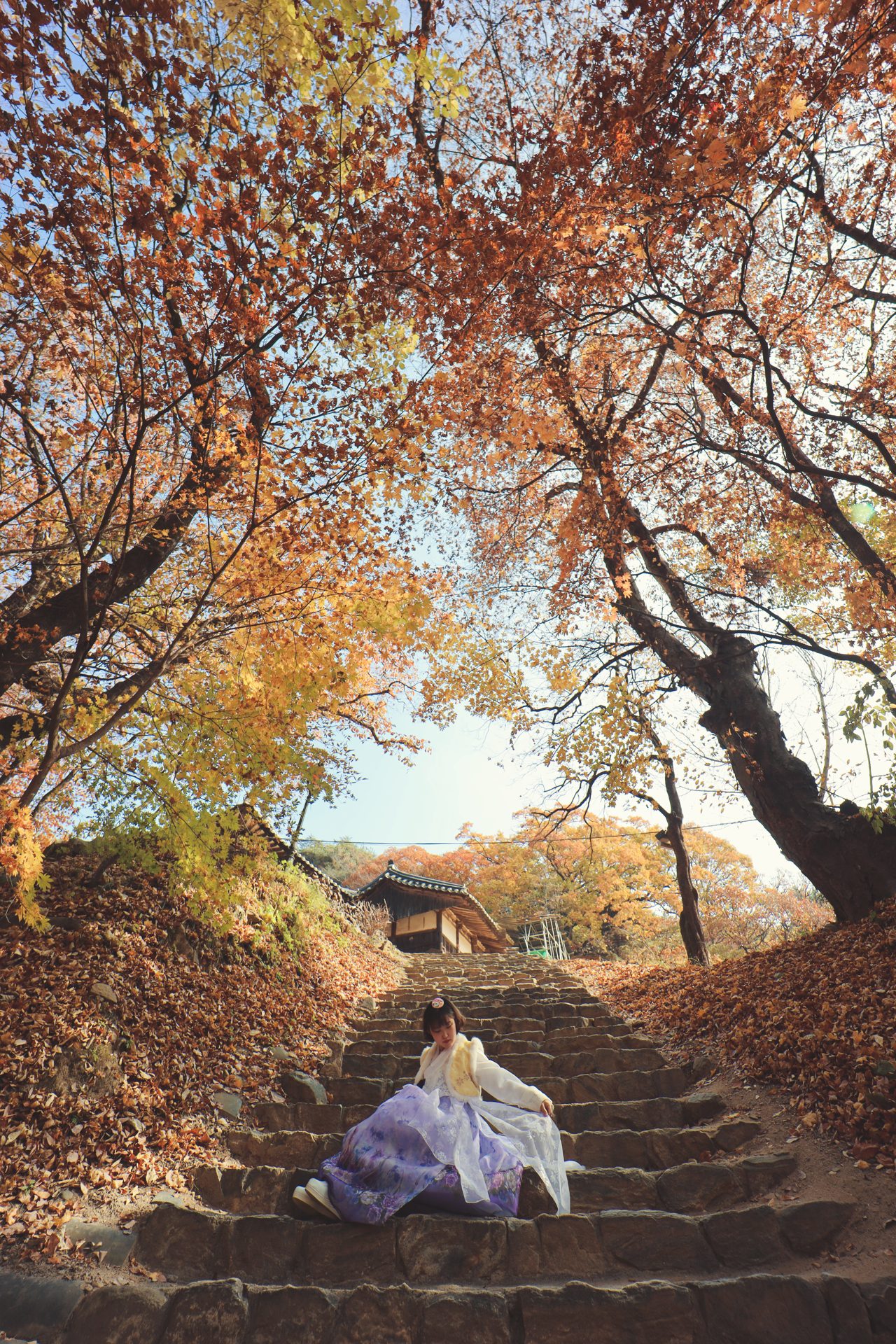 빛의 산사 — 야간 개장