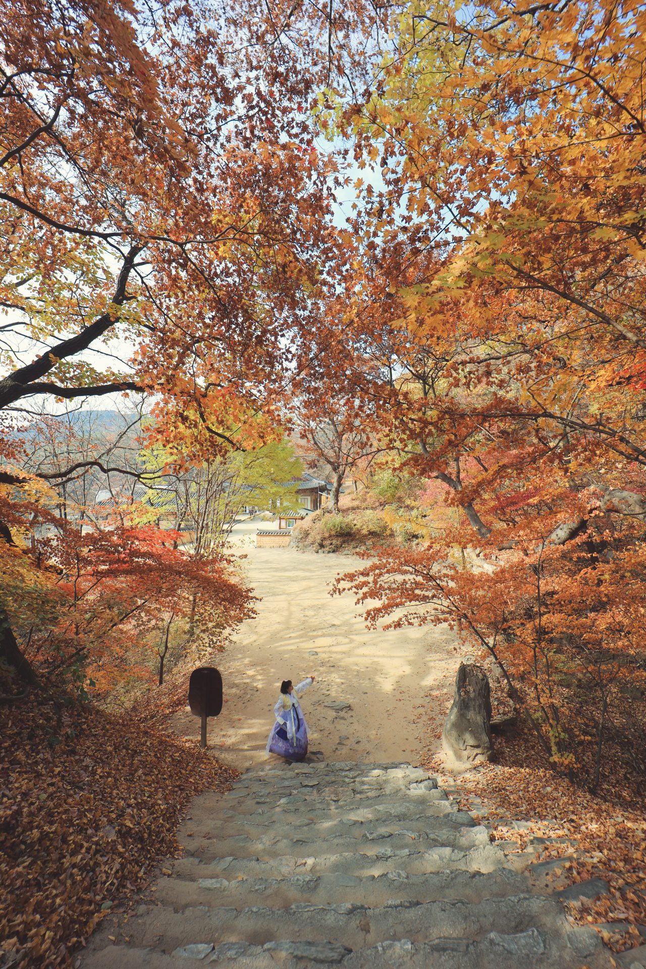 봉정사 템플스테이
